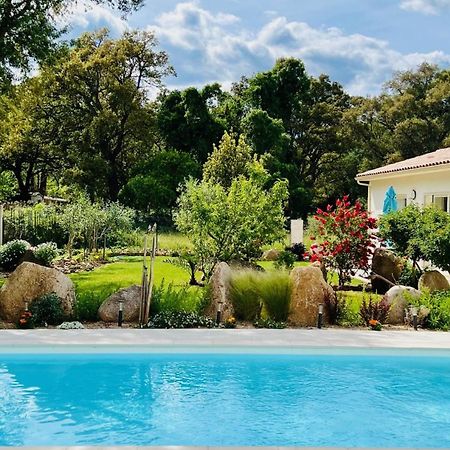 Mini Villa Pascal Paoli Avec Piscine - Proche Mer Prunelli-di-Fiumorbo Luaran gambar