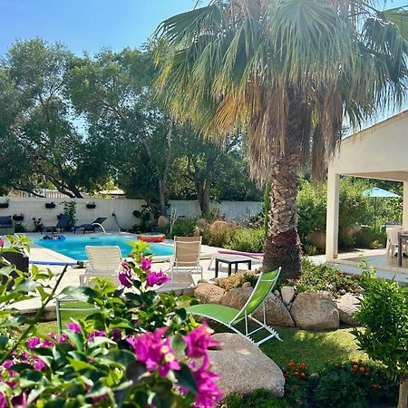 Mini Villa Pascal Paoli Avec Piscine - Proche Mer Prunelli-di-Fiumorbo Luaran gambar