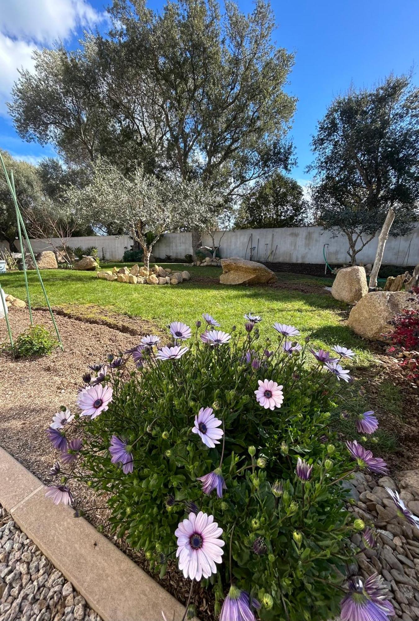 Mini Villa Pascal Paoli Avec Piscine - Proche Mer Prunelli-di-Fiumorbo Luaran gambar