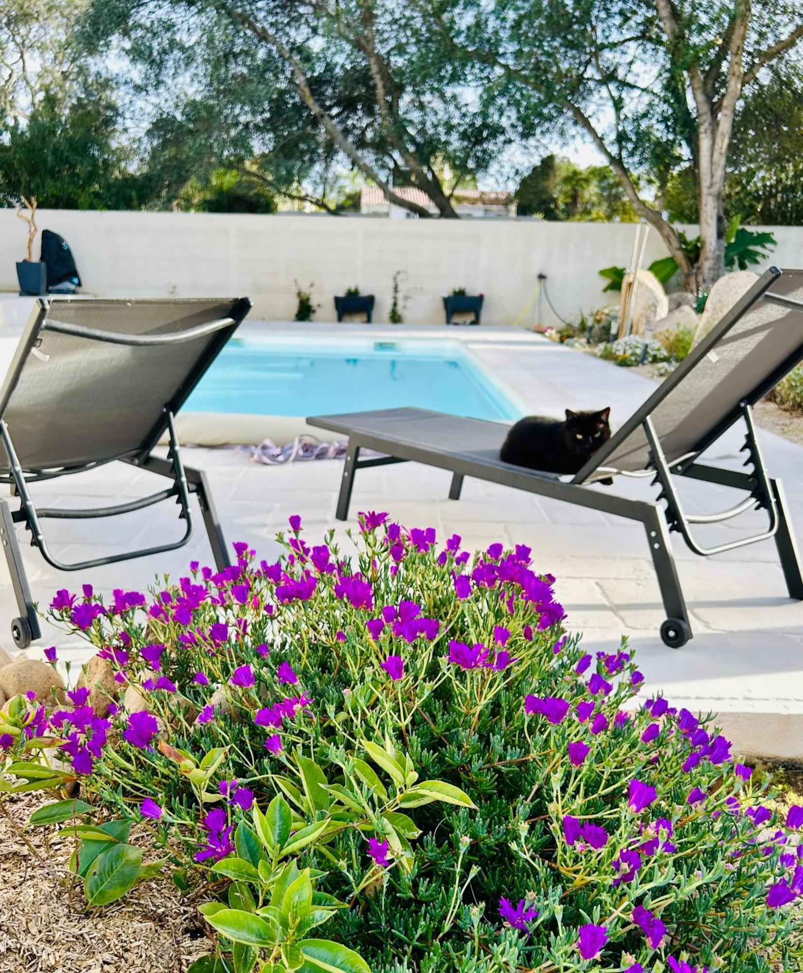 Mini Villa Pascal Paoli Avec Piscine - Proche Mer Prunelli-di-Fiumorbo Luaran gambar