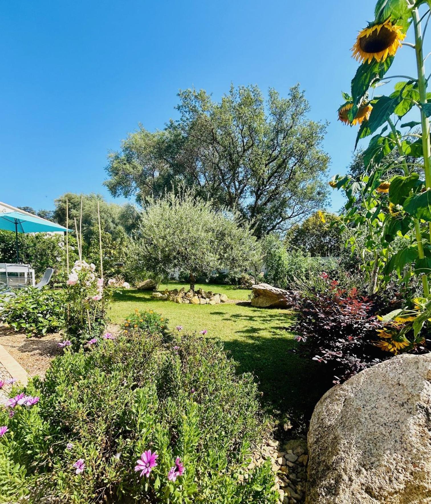 Mini Villa Pascal Paoli Avec Piscine - Proche Mer Prunelli-di-Fiumorbo Luaran gambar
